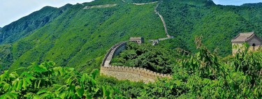 China está llevando a cabo el proyecto de reforestación más ambicioso del mundo: un "muro" de 4.500 kilómetros de árboles 