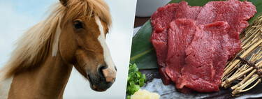 En plena subida de los alimentos, un producto barato está causando polémica en Europa: la carne de caballo 