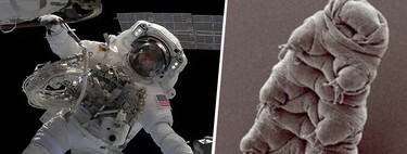 La NASA ha pedido a dos astronautas que salgan al exterior de la ISS a comprobar si hay organismos vivos