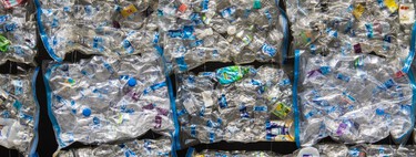 Los científicos ya investigan una solución al cambio climático y a las hambrunas: comernos el plástico 
