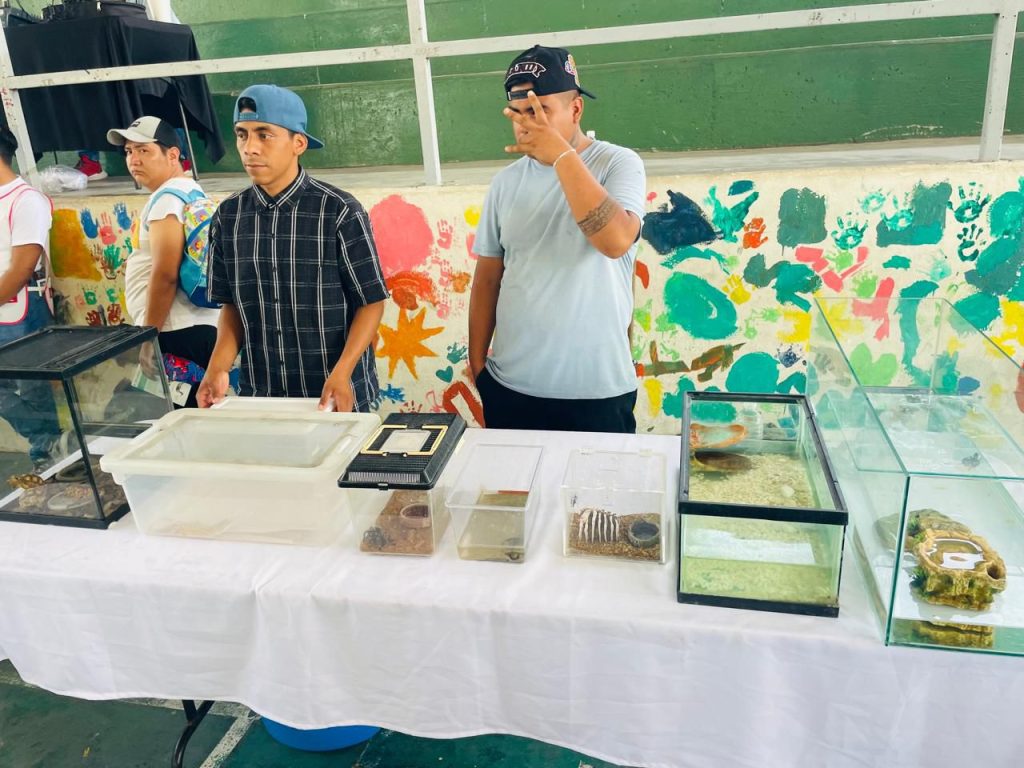 La imagen actual no tiene texto alternativo. El nombre del archivo es: PHOTO-2025-12-01-15-20-23.jpg